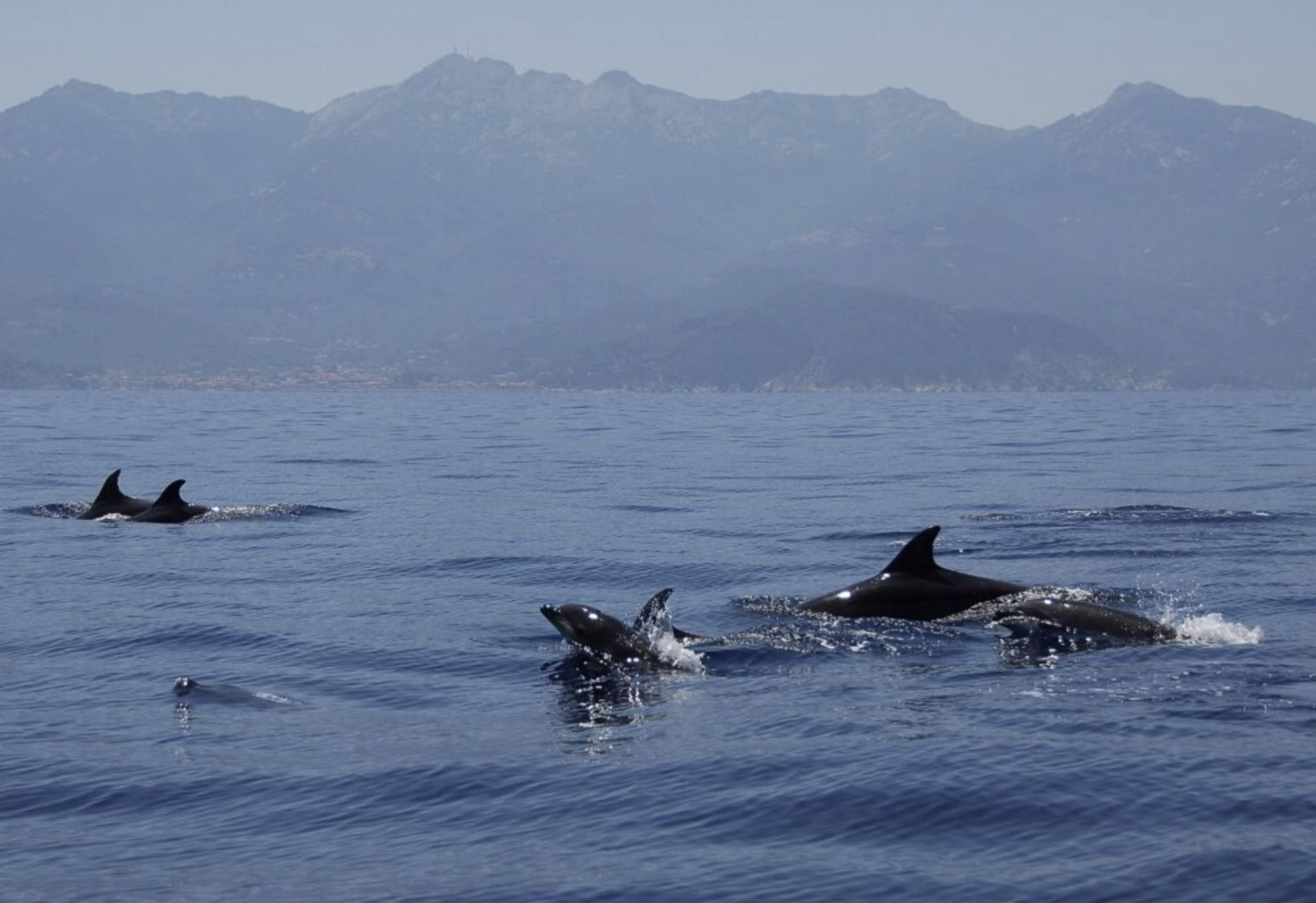 First capacity building meetings for LIFE A-MAR Natura 2000